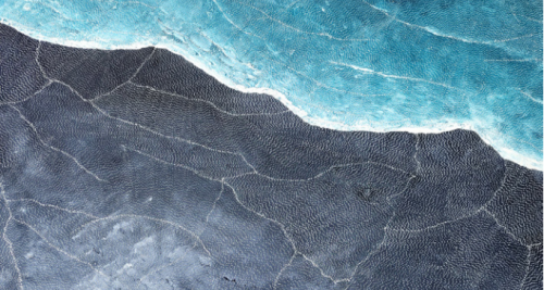 Reflect Reconciliation Action Plan